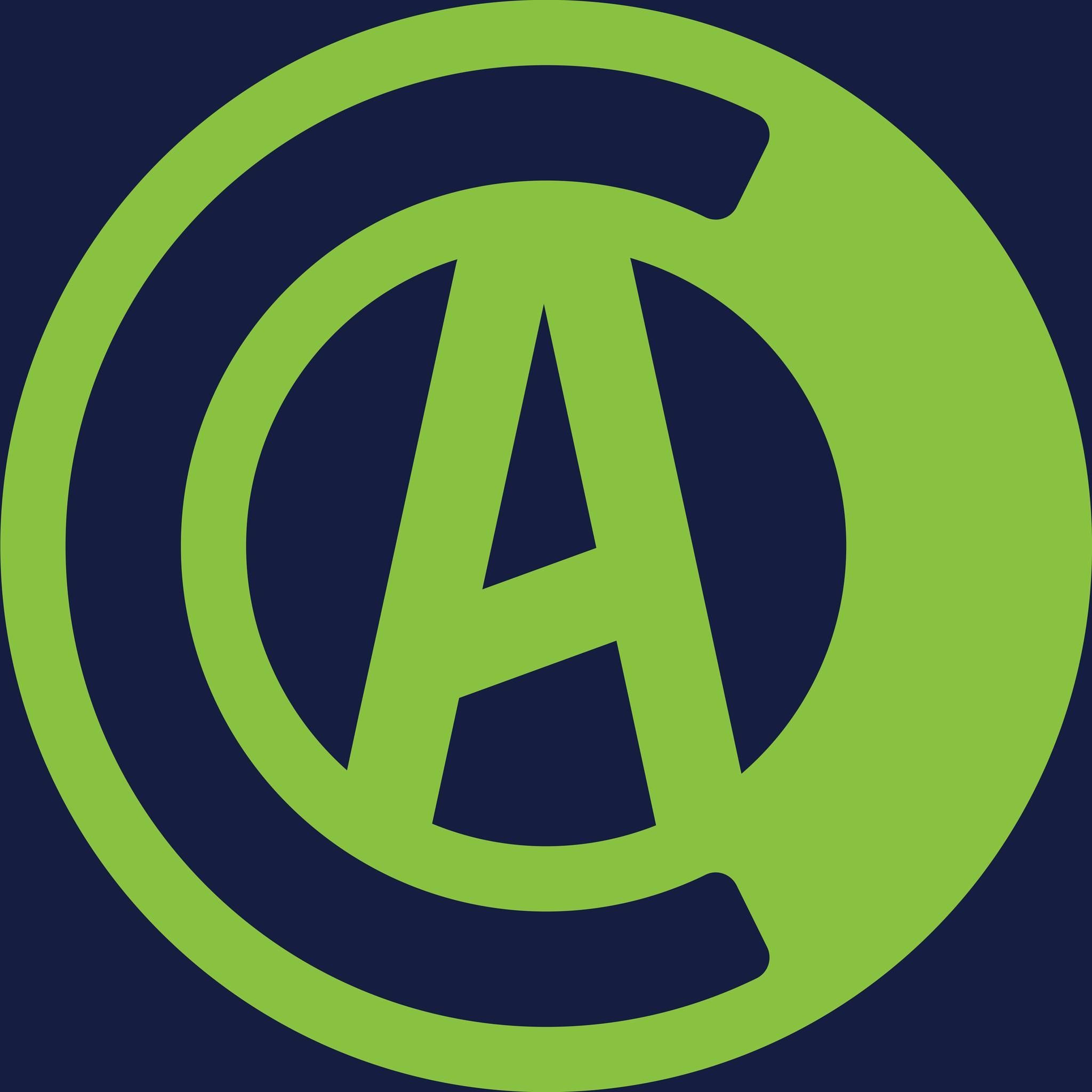Cristina Araújo's icon