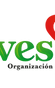 Fundación Llaves's logos