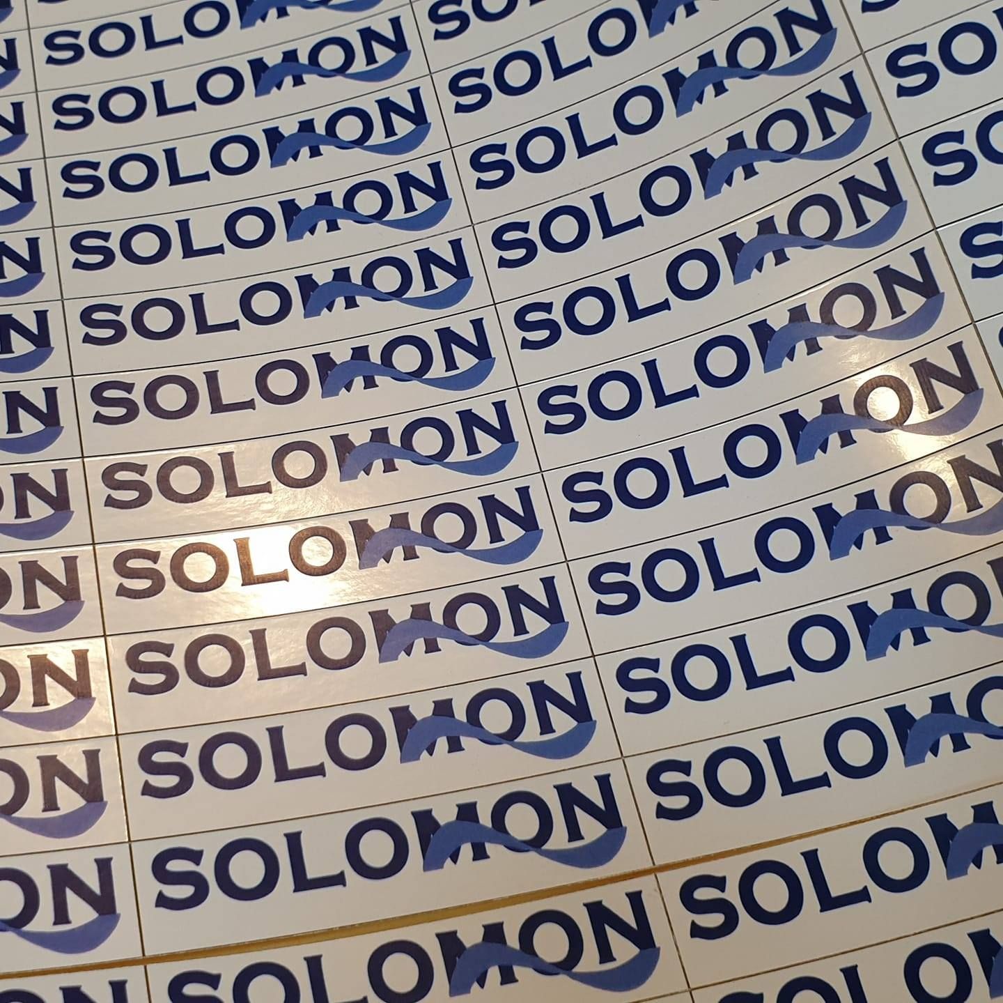 PT. Solomon Wira Makmur's icon