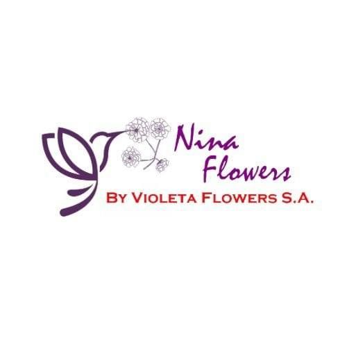 VIOLETA FLOWERS S. A.'s icon