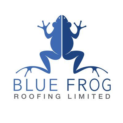 Blue Frog Roofing's icon