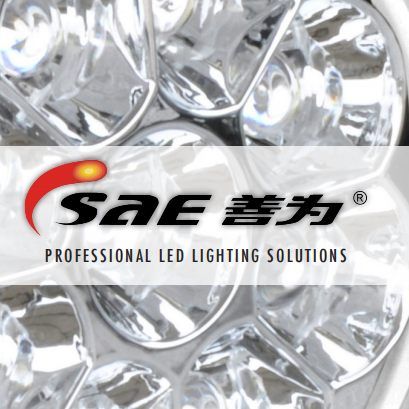 Foshan Sunway Auto Electrical Co Ltd | Foshan's icon