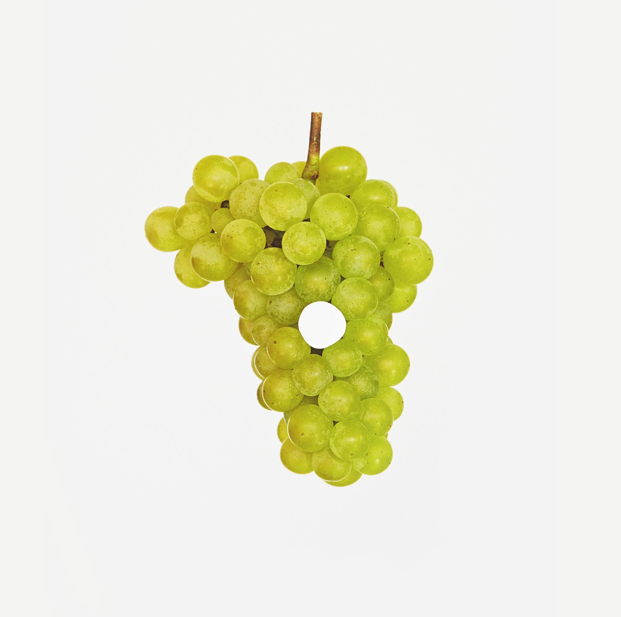 ZNOJEMSKÉ HISTORICKÉ VINOBRANÍ's icon