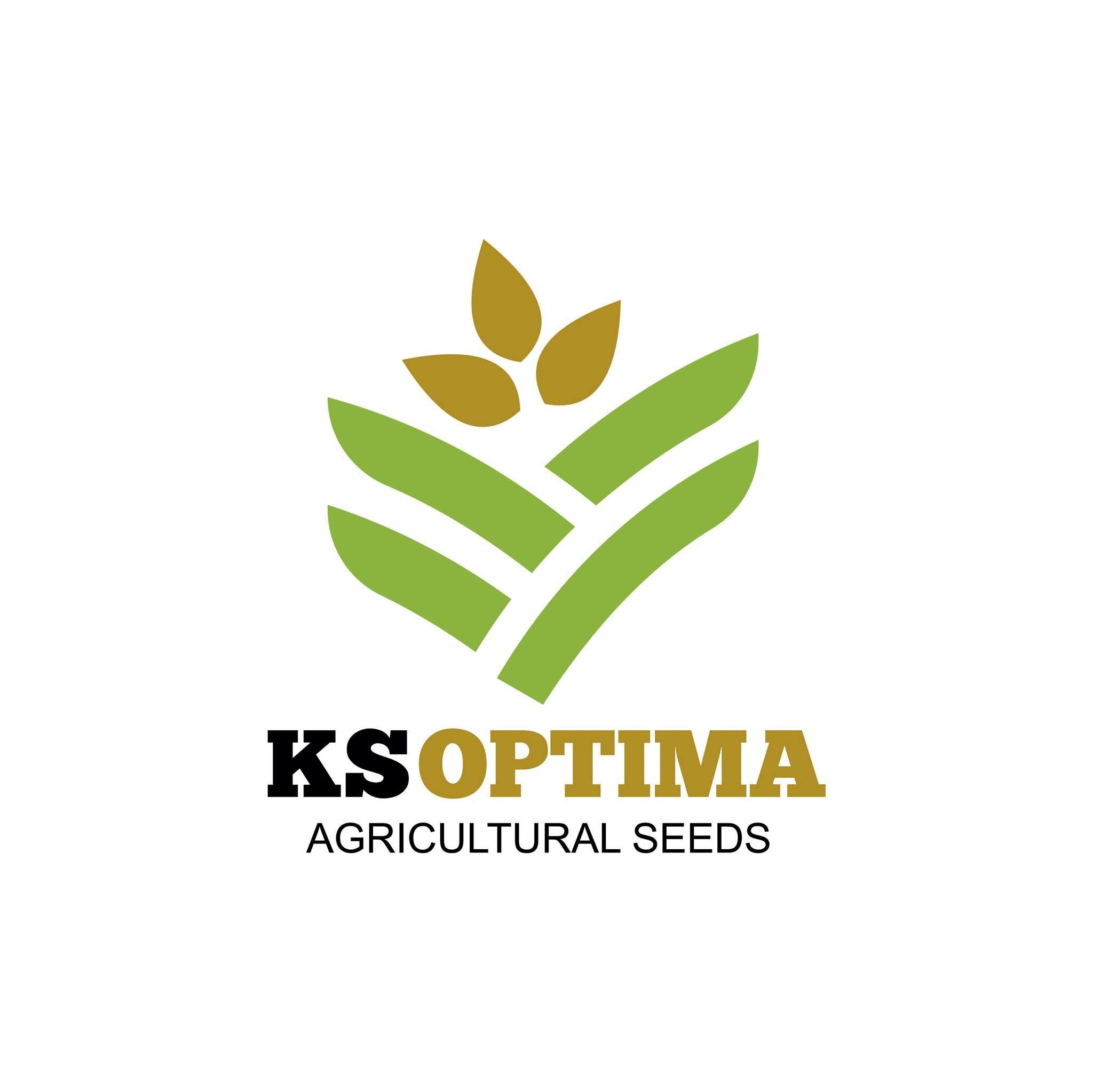 Agricultural seeds KSOptima | Minsk's icon