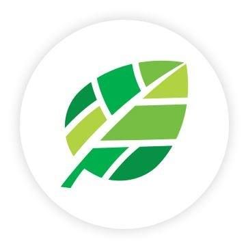 Saillog's icon
