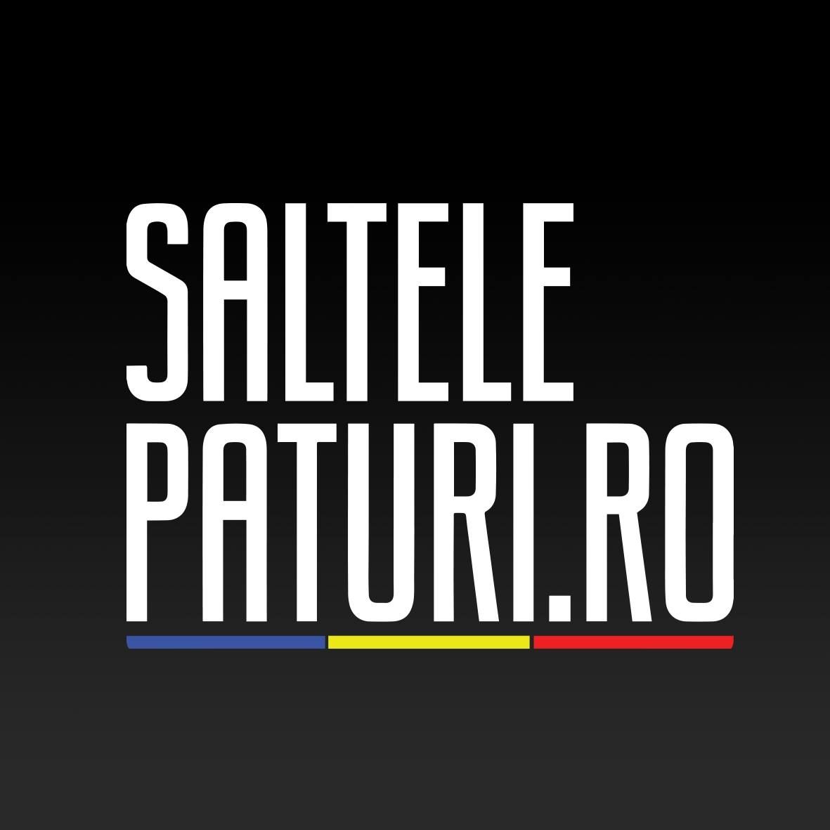 Saltelepaturi.ro's icon