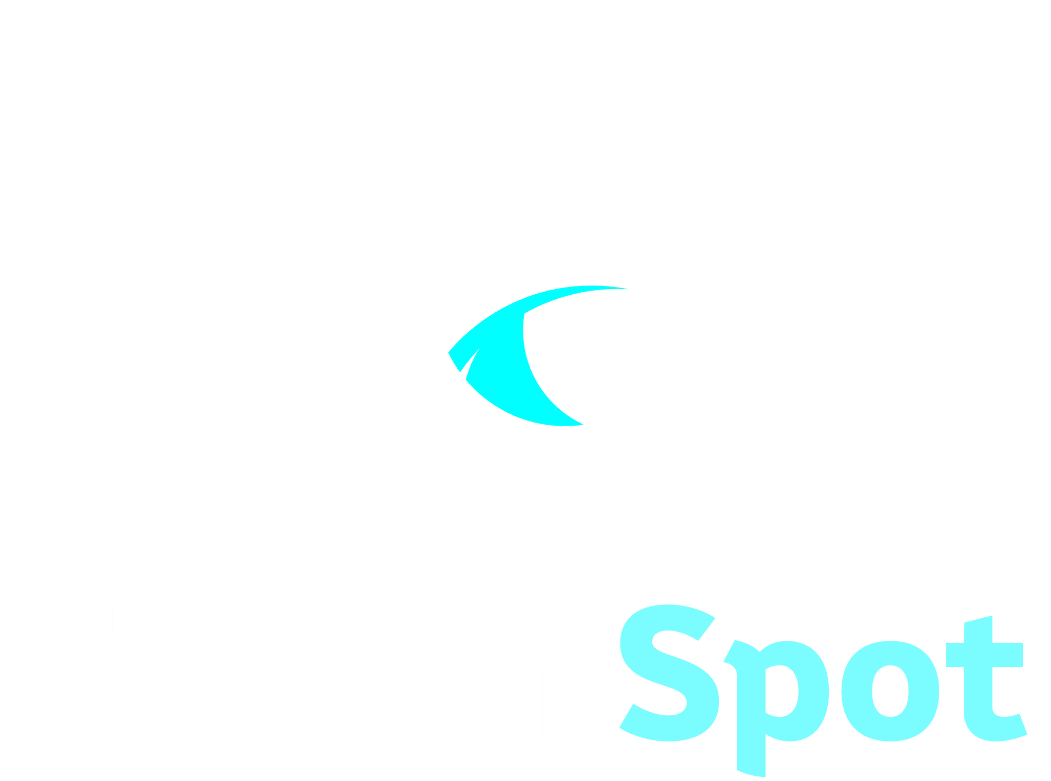 Frozen Spot CORP. logo