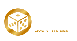 Logo de Vivo Gaming
