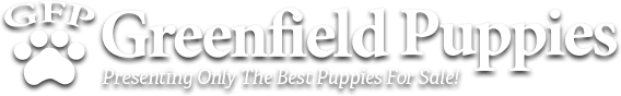 Greenfieldpuppies