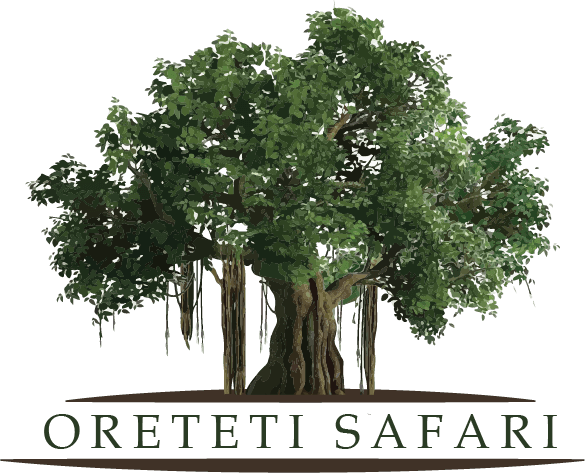 Oreteti Safari Africa's logos