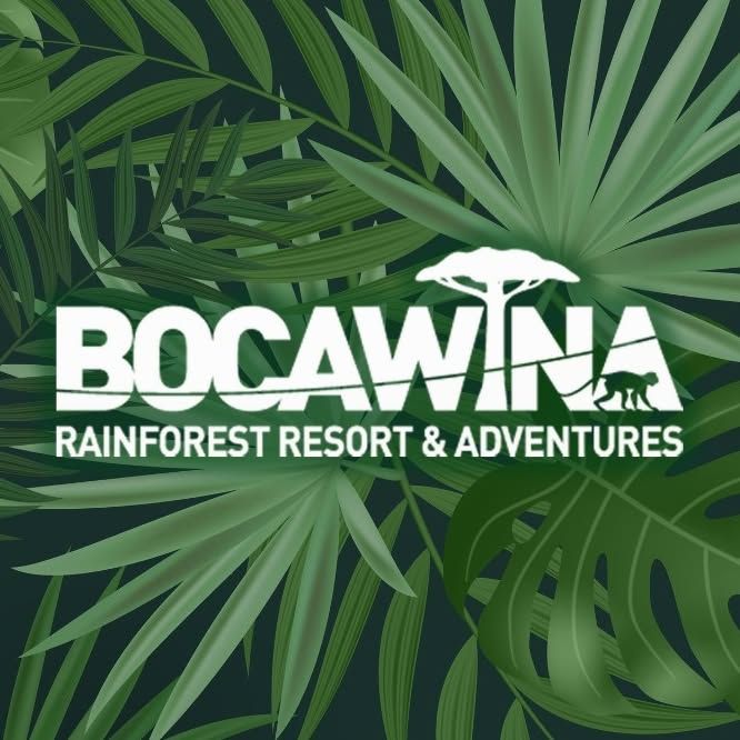 BOCAWINA's icon