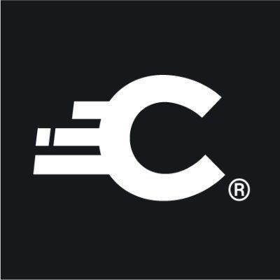 Curity Logo