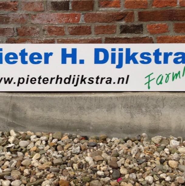 Pieter H Dijkstra's icon