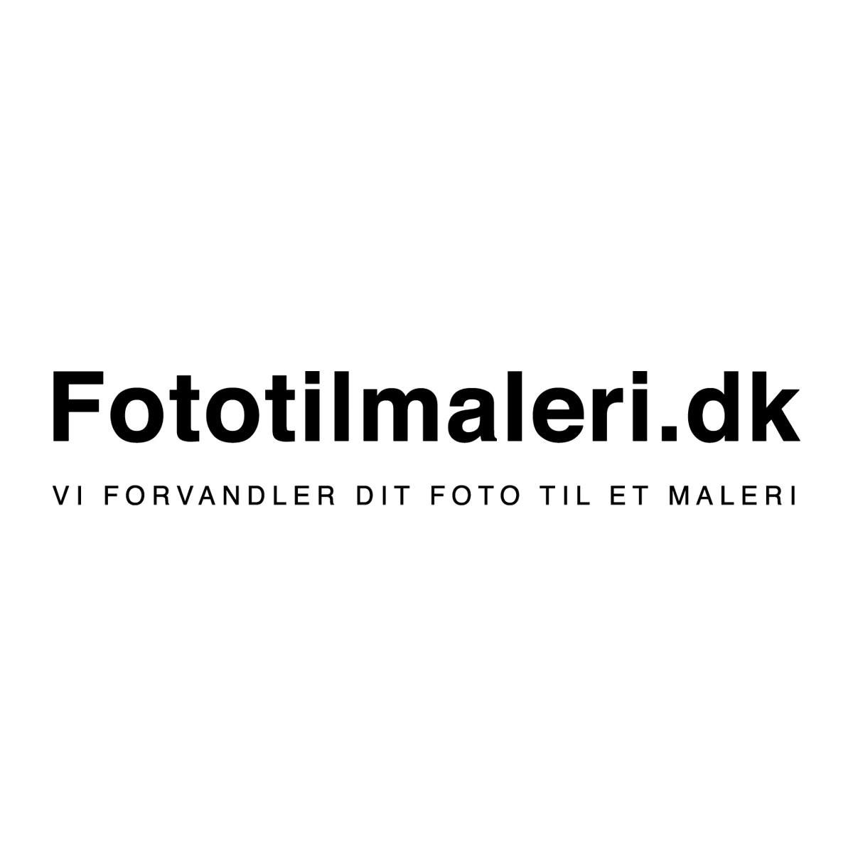 Fototilmaleri.dk logo