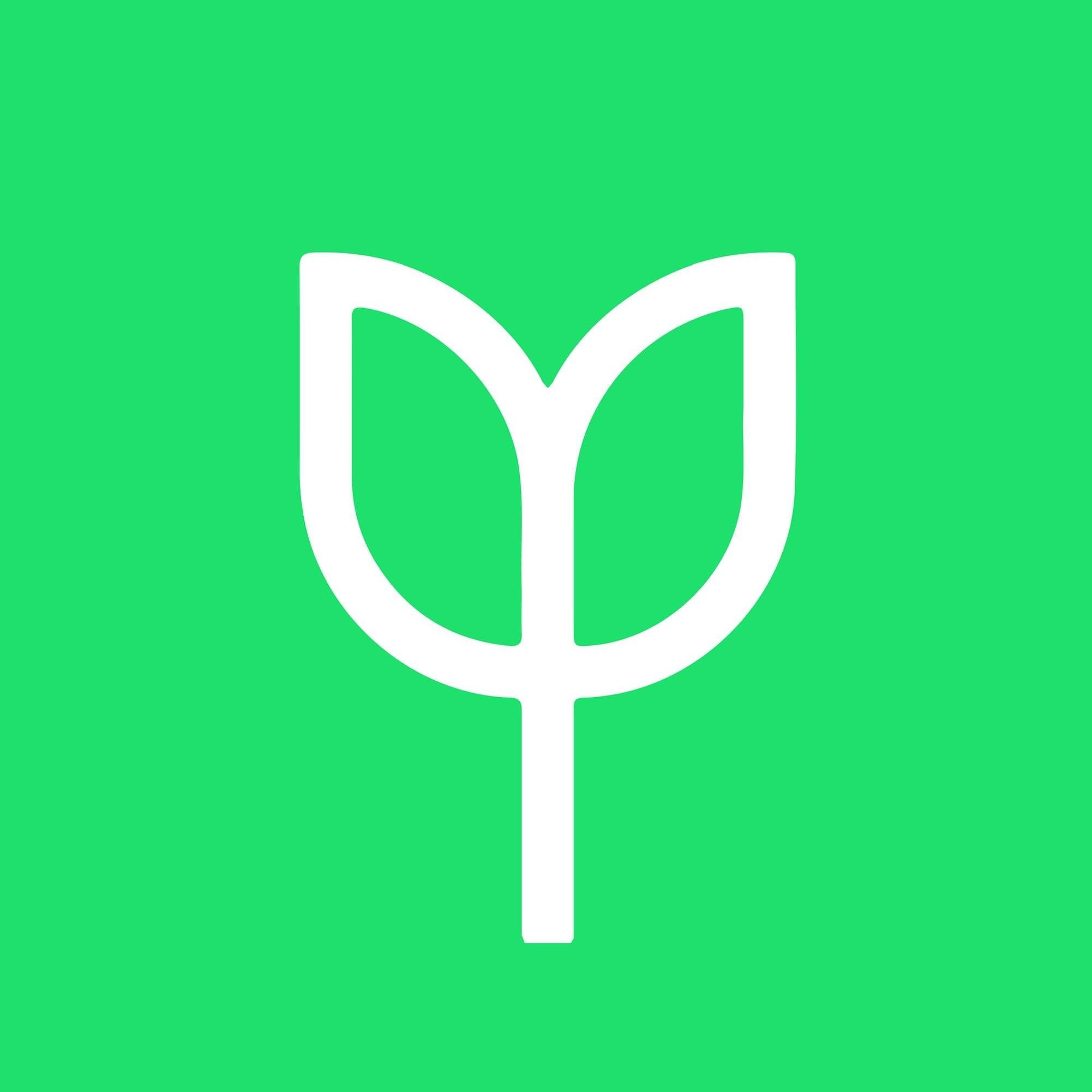 Branch's icon