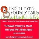 Bright Eyes Bushy Tails's icon