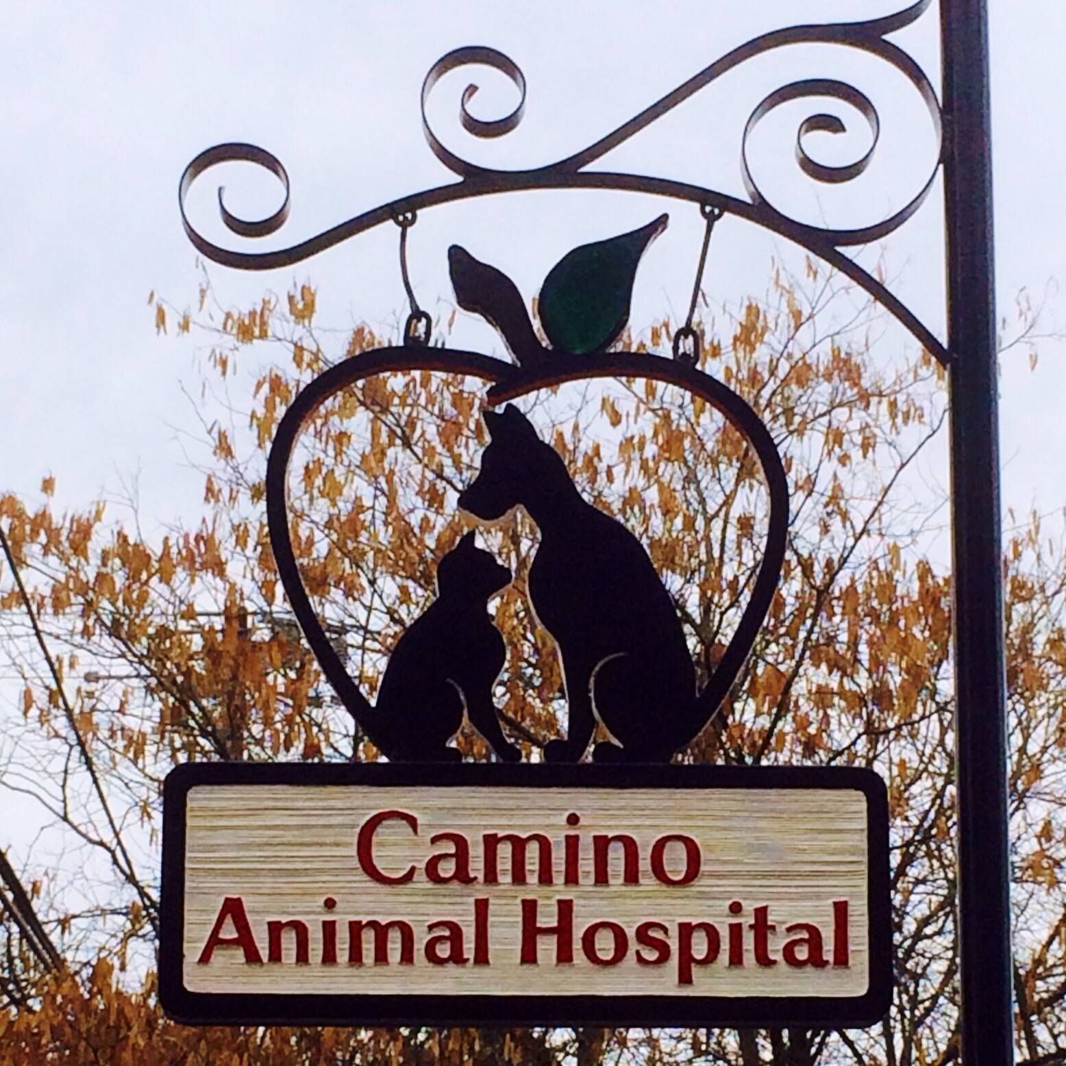 Camino Animal Hospital's icon