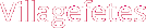 Villagefetes's logos