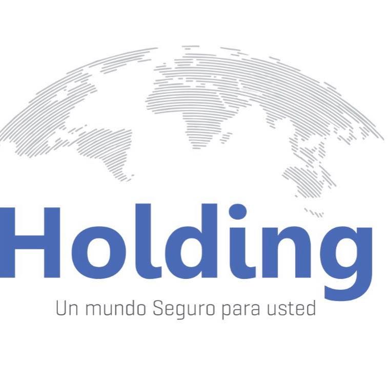 Holding Consultores's icon
