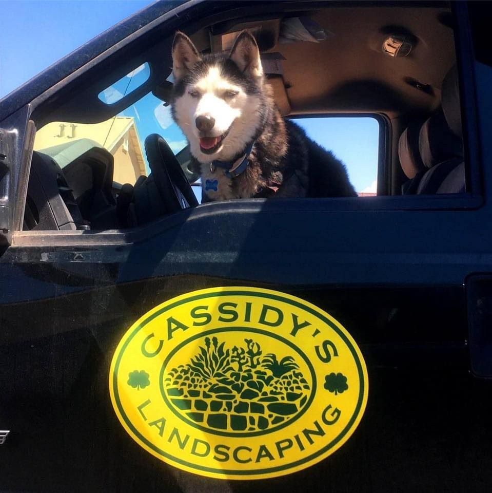 Cassidy's Landscaping's icon