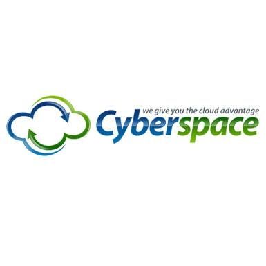 Cyberspace Networking Systems Pvt Ltd's icon