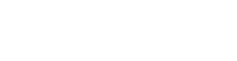 BIRDY Private Jets's logos