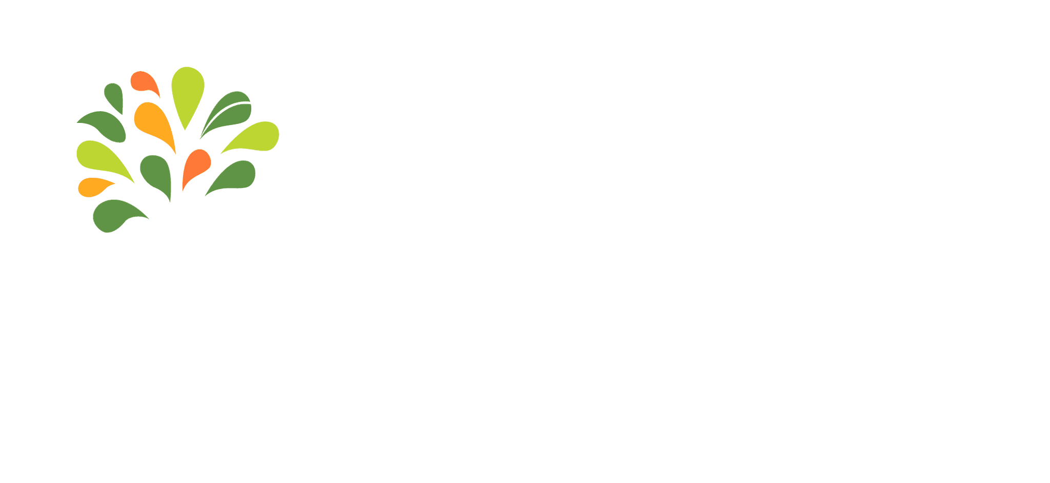Spatial Informatics Group's logos