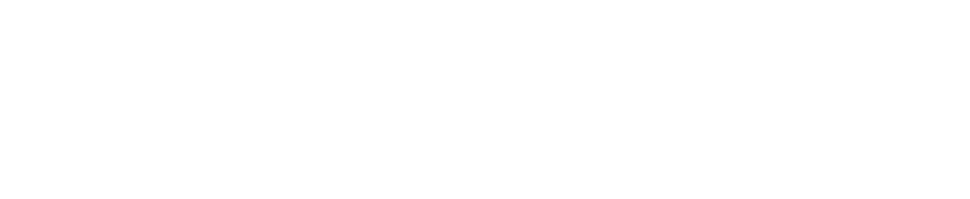 Bruce logo