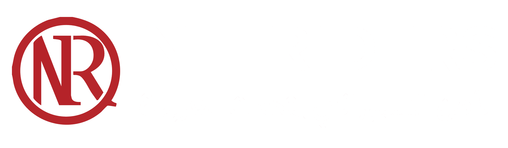 Netriders Logo & Brand Assets (SVG, PNG and vector) - Brandfetch