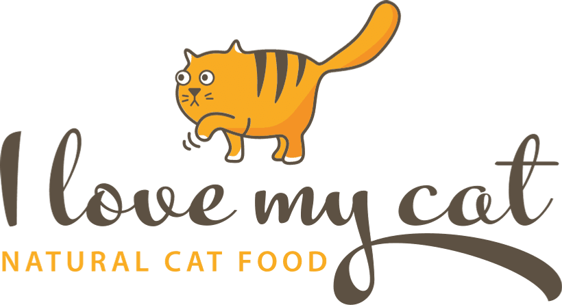 I Love My Cat