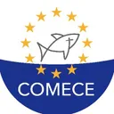 The Catholic Church in the EU's icon