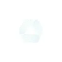 PCRIC's icon