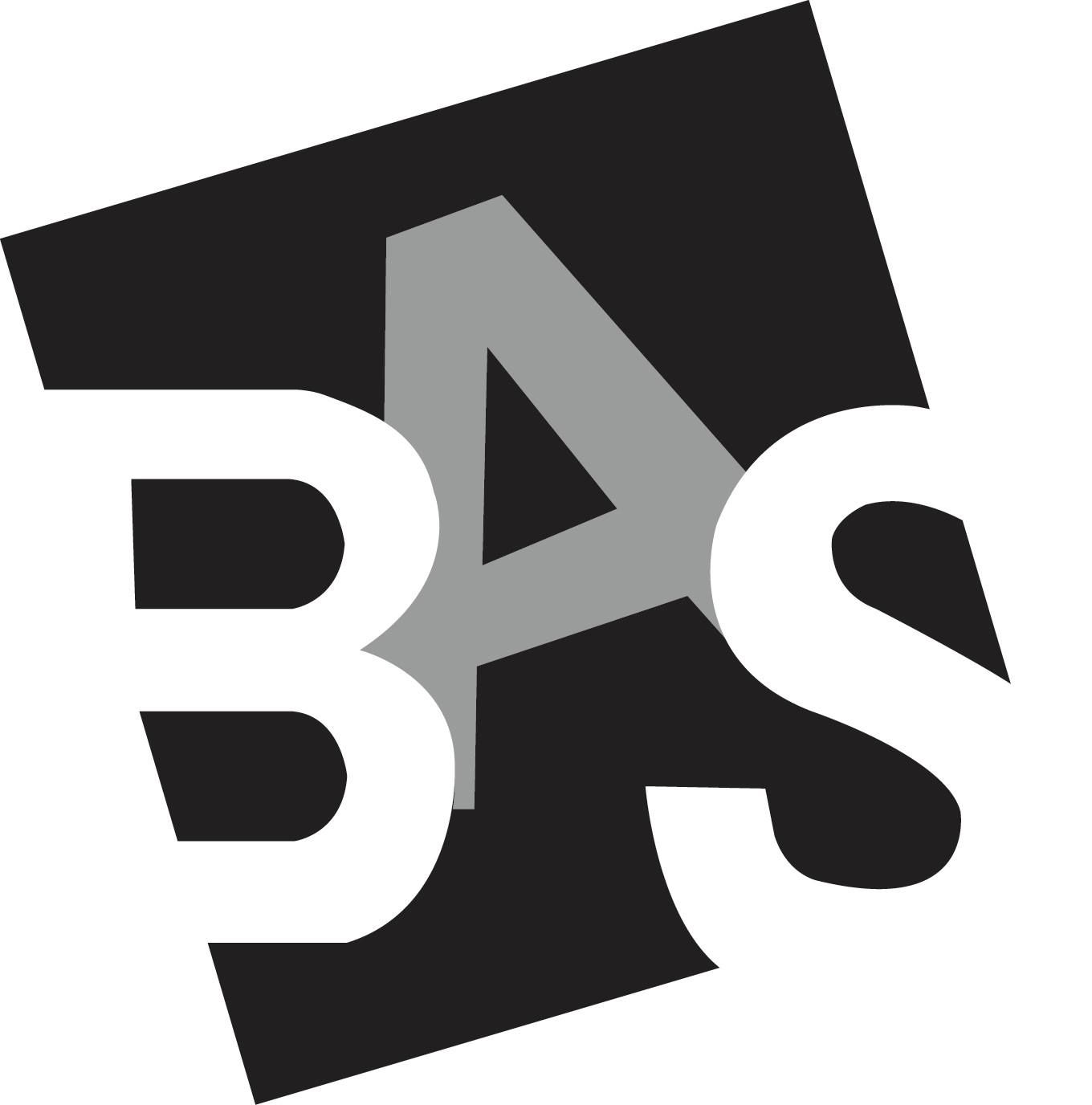 BronxArtSpace's icon