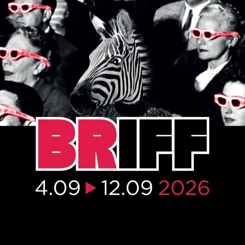 Brussels International Film Festival's icon