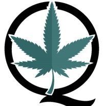 Qualium Consulting Inc.'s icon