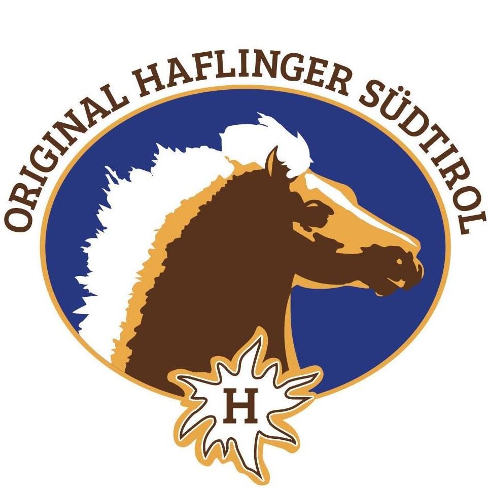 Haflinger's icon