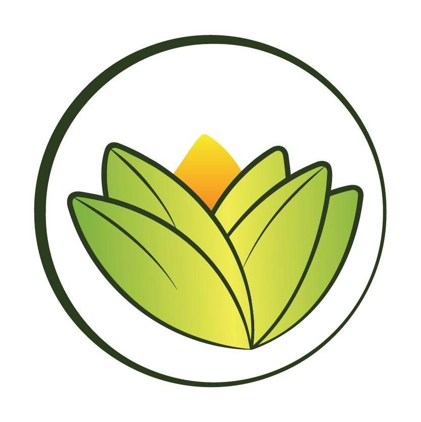 The Ayurveda Experience coupons, promo codes & deals