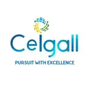 Ceigall India Limited's icon