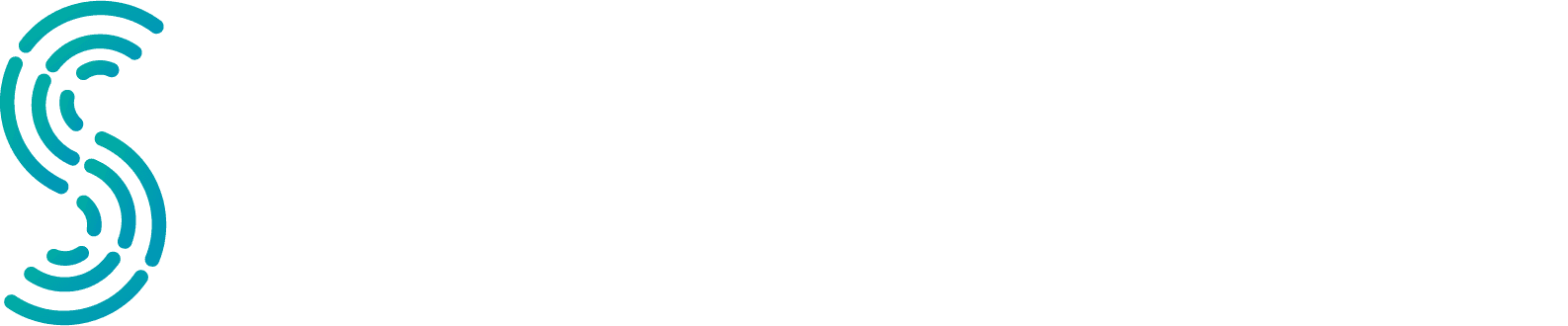 Softradis's logos