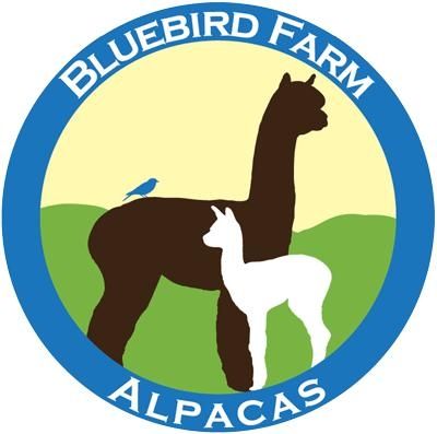 Bluebird Farm Alpacas's icon