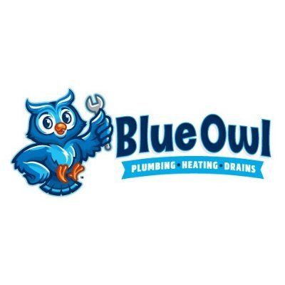 BlueOwl Plumbing's icon
