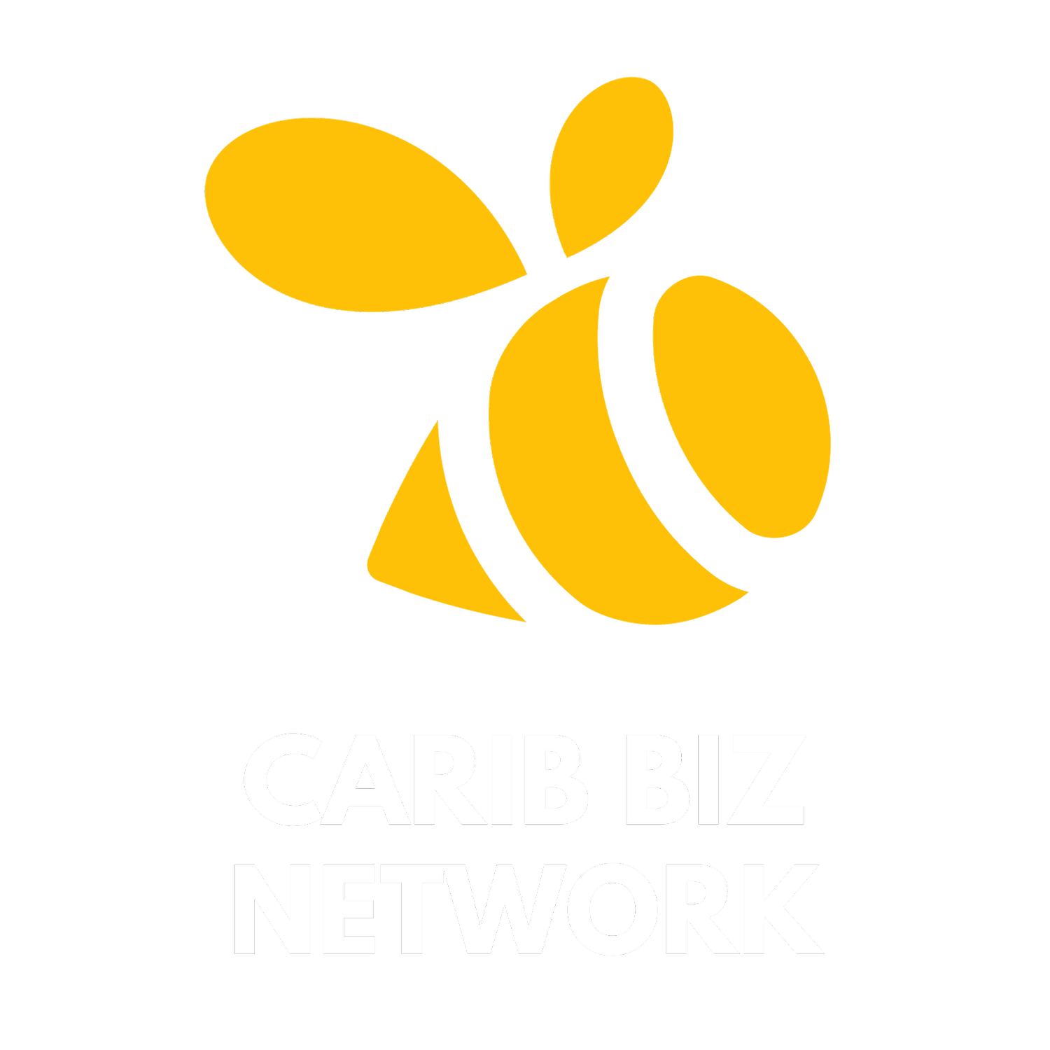 Carib Biz Network's logos
