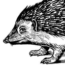 The Hedgehog Review's icon