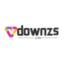 downzs.com's icon