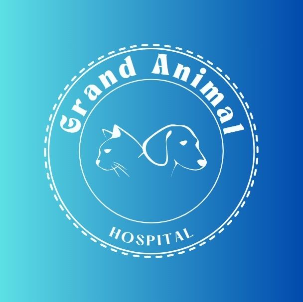 Grand Animal Hospital's icon