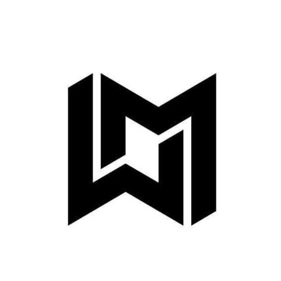 Wingman Discs's icon
