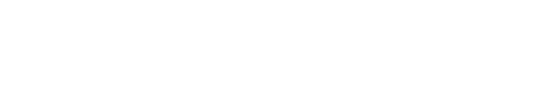 The Dallas Express News's logos