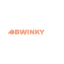 bwinky.ru's icon