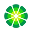 LimeWire's icon