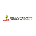 gsskids.com's icon